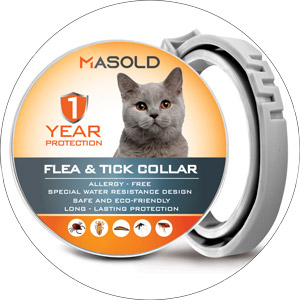 10 Best Flea Collars For Cats – Reviews On Best Flea Killers For Cats From Pestmash
