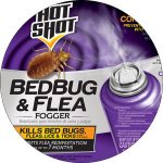 How to get rid of fleas in the house fast